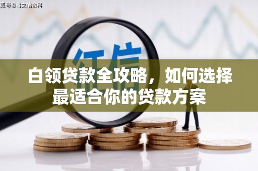 金峰白领贷款全攻略，如何选择最适合你的贷款方案